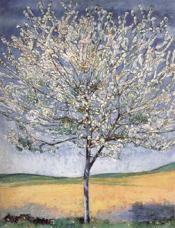 Cherry tree in bloom, Ferdinand Hodler